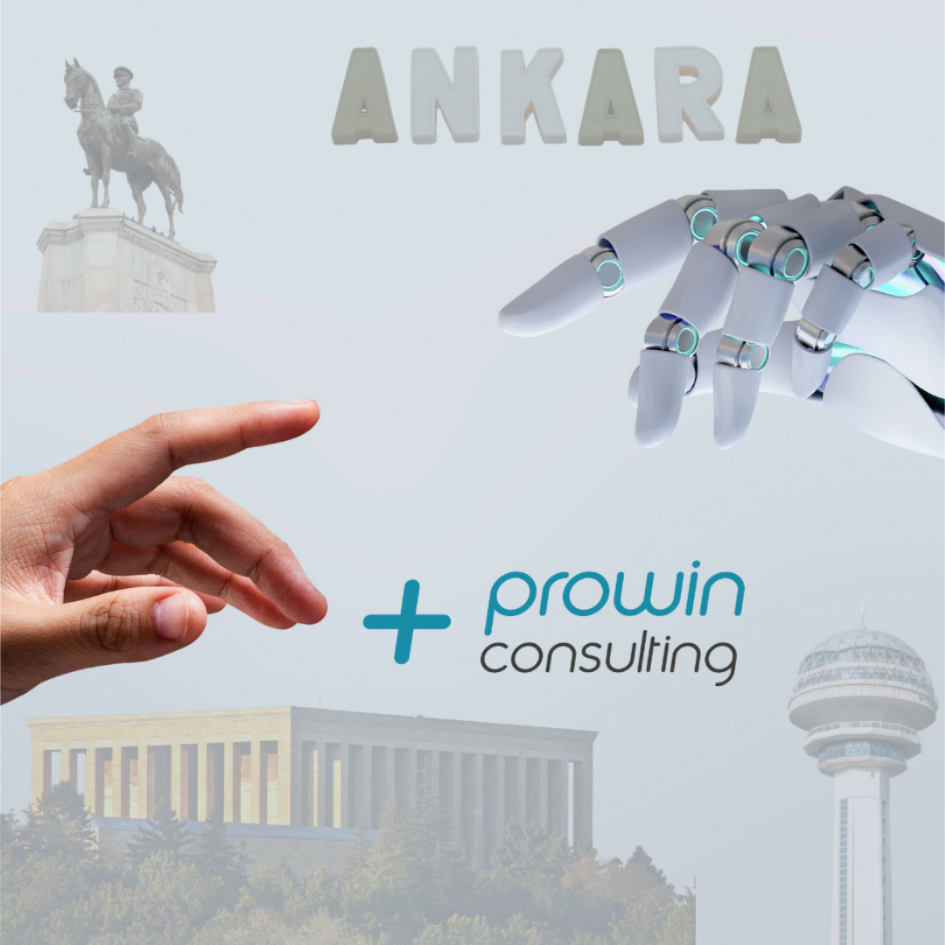 Ankara Danismanlik firmaları